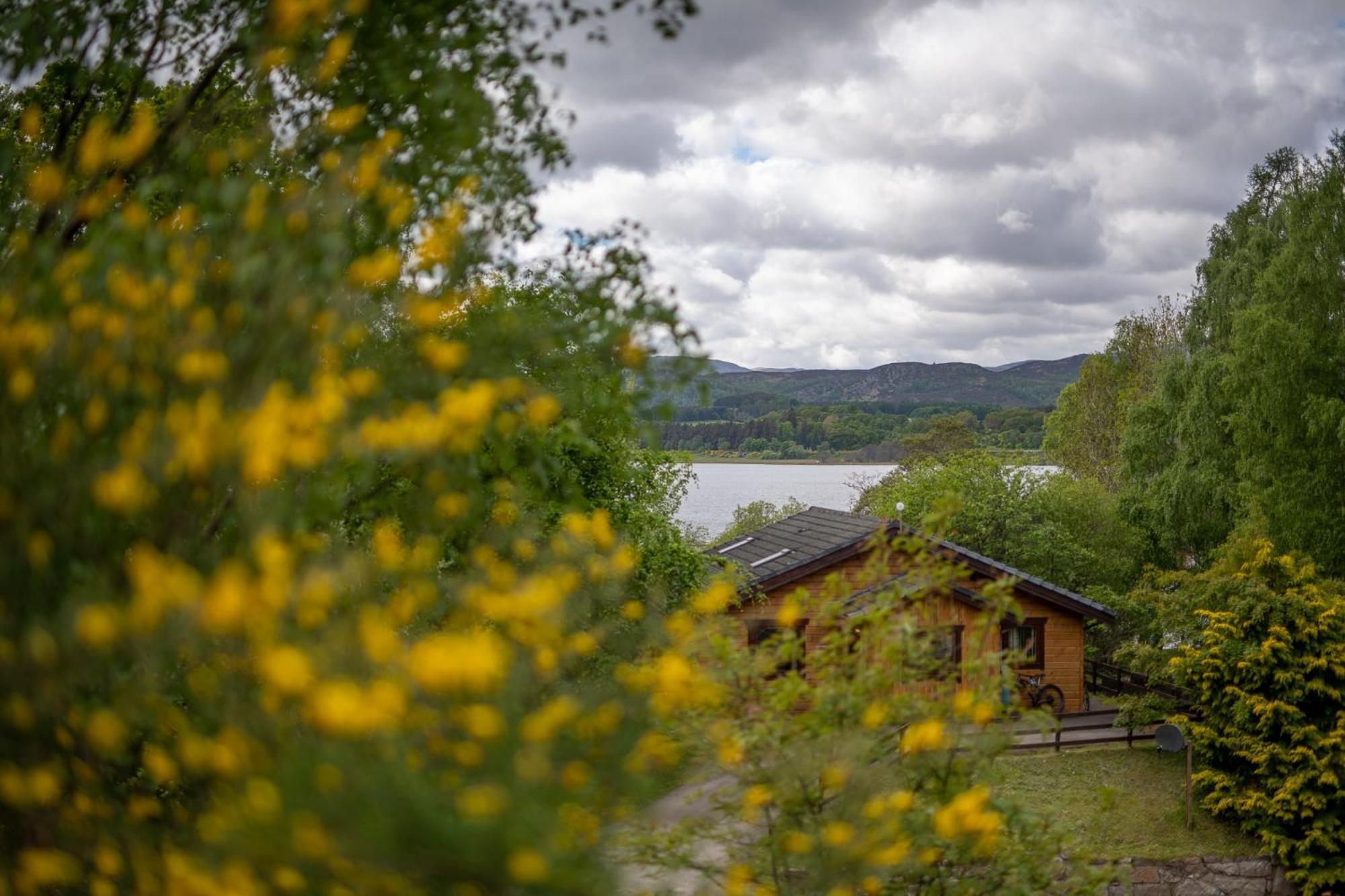 Loch Insh Chalets Ltd Kincraig Exterior foto